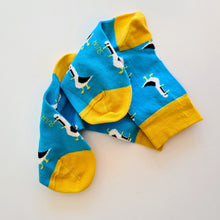 Load image into Gallery viewer, KARO