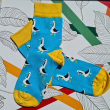 Load image into Gallery viewer, KARO